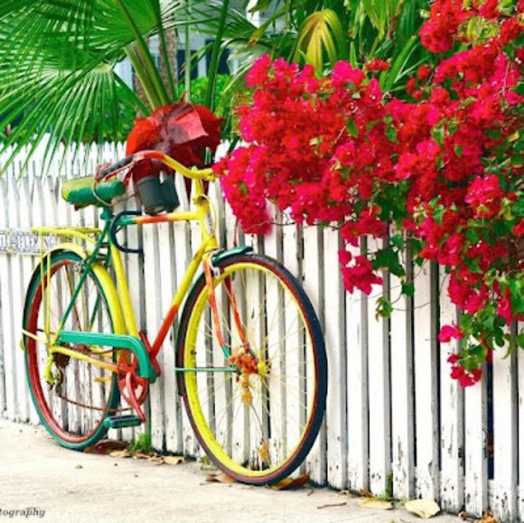 Meet your Posher, Junior - Picture 1 of 1